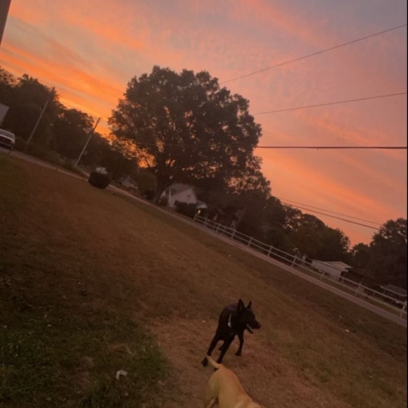 ❀♥︎ 𝓗𝓮𝓵𝓵𝓸, I’m Payton. Owner/founder of Love, Dax: a sustainable fashion co 💚 - Picture 2 of 8